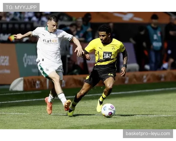 门兴球迷热情高涨，期待新赛季球队稳健前行、竞争力再上新台阶